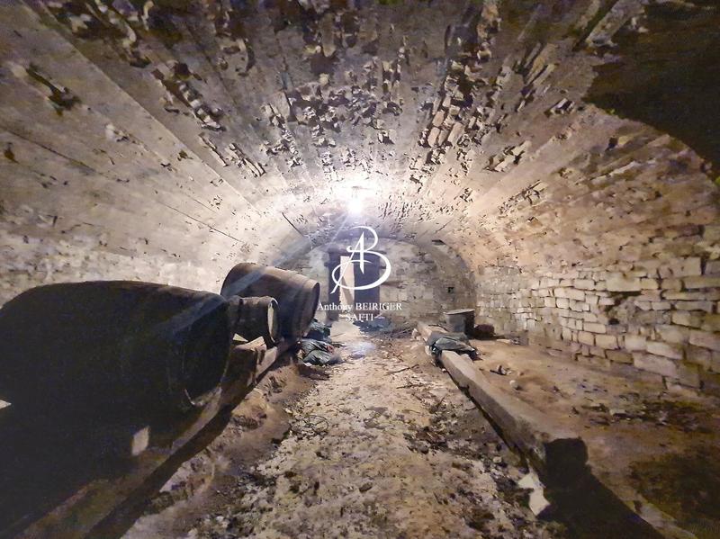 Maison - 390 m² - 10 pièces