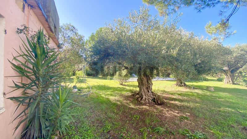 Maison - 70 m² - 1 pièce