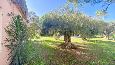 Maison - 70 m² - 1 pièce