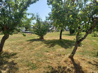 Maison - 113 m² - 5 pièces