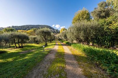 Propriété - 305 m² - 9 pièces