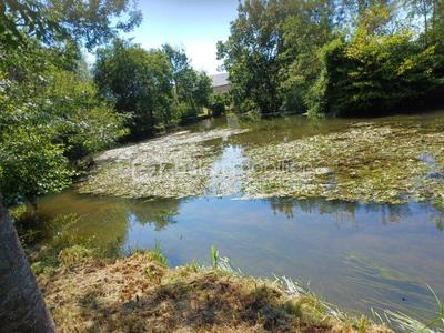 Terrain de loisirs - 8 163 m²