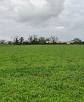 Terrain constructible - 435 m²