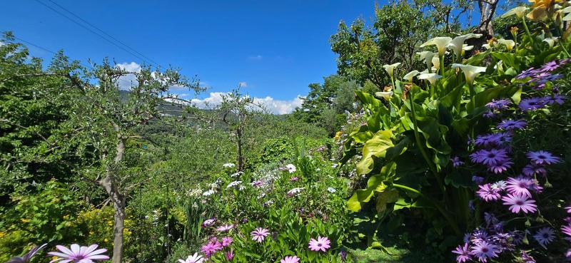 Villa - 129 m² - 4 pièces