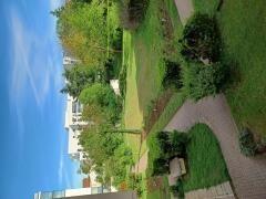 Appartement - 55 m² - 2 pièces