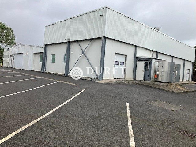 Local d'activités - 1 040 m²