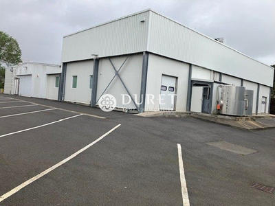 Local d'activités - 1 040 m²