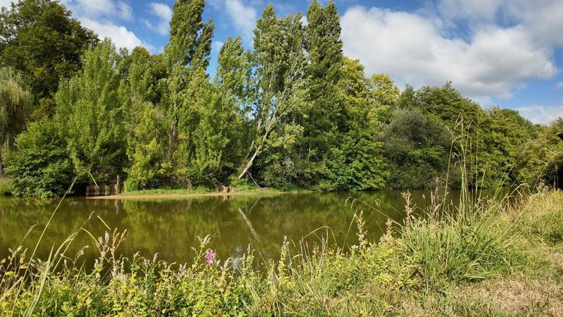 Moulin - 300 m² - 6 pièces