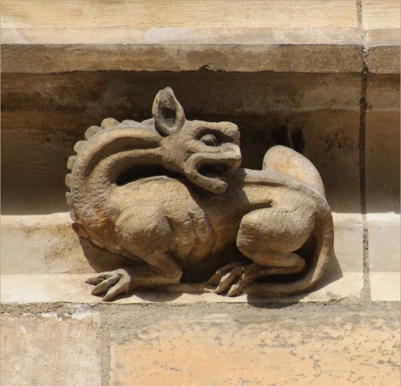 Sur la Piste des Animaux dans la Ville