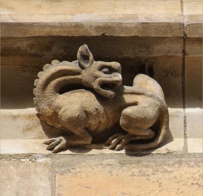 Sur la Piste des Animaux dans la Ville