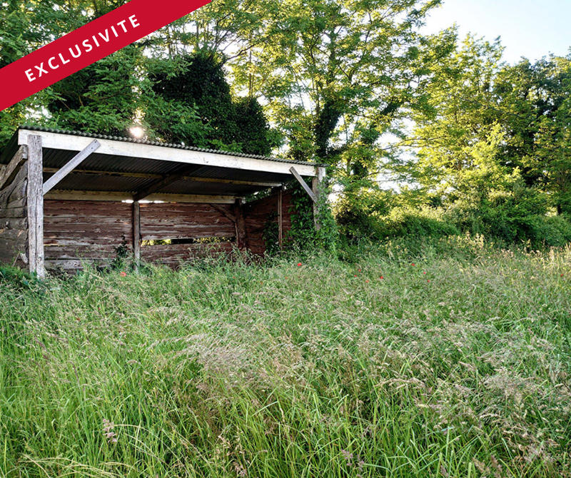 Maison de domaine équestre - 94 m² - 3 pièces