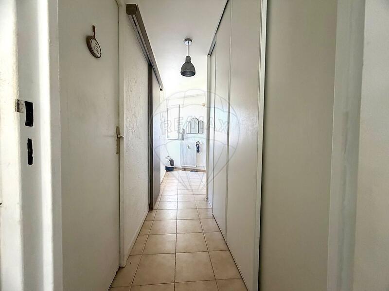 Studio - 36 m² - 1 pièce