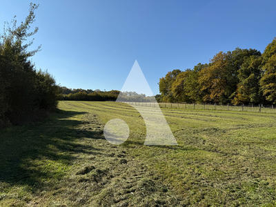 Terrain - 9 343 m²