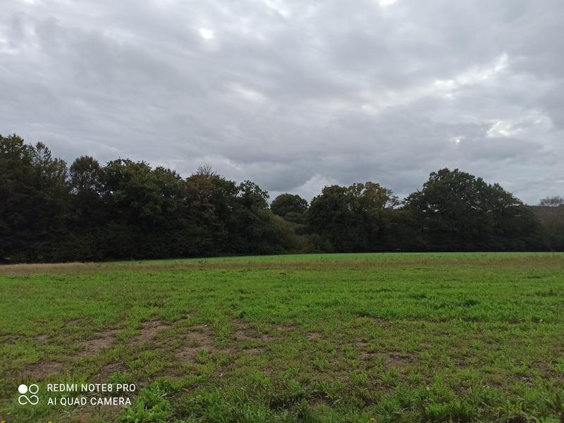 Terrain constructible - 1 092 m²