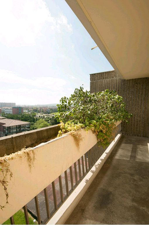 Appartement - 31 m² - 1 pièce