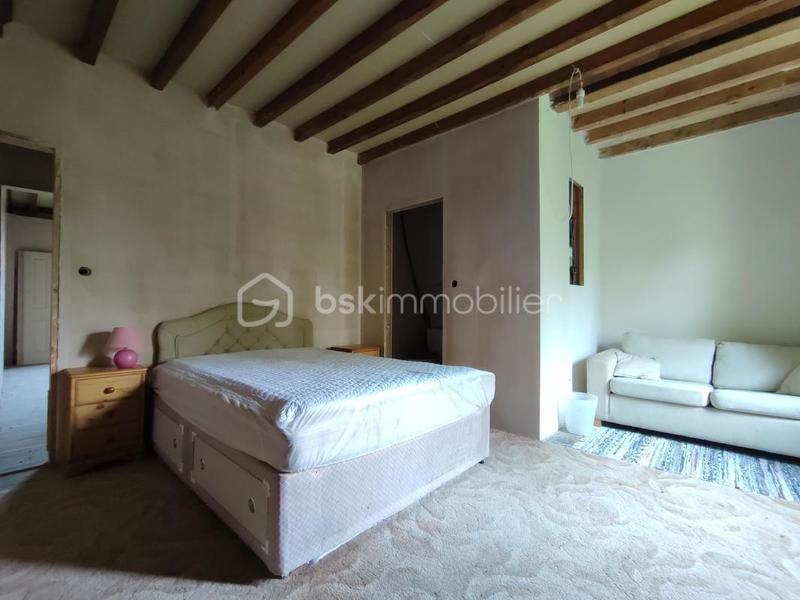 Moulin - 287 m² - 12 pièces