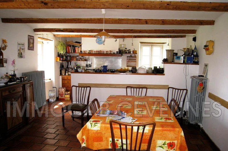 Mas - 500 m² - 20 pièces