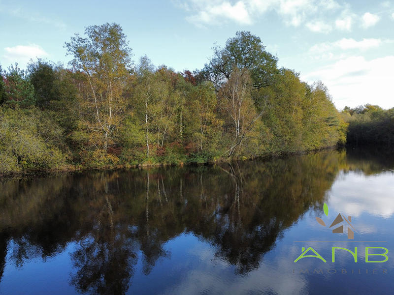 Manoir - 230 m² - 8 pièces