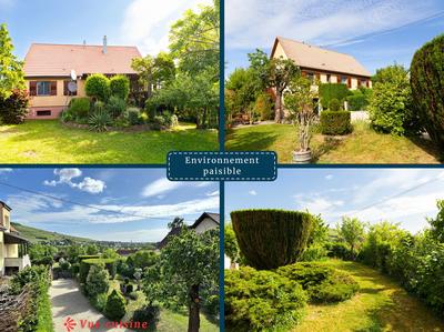 Viager - Maison ancienne - 90 m² - 4 pièces