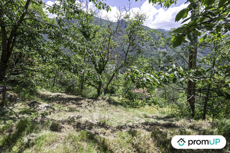 Terrain agricole - 4 500 m²