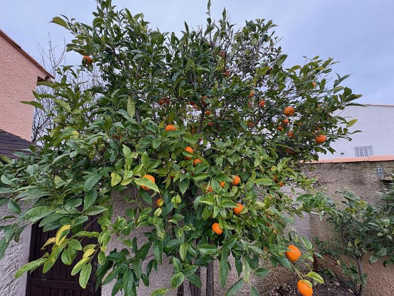 Maison - 87 m² - 3 pièces