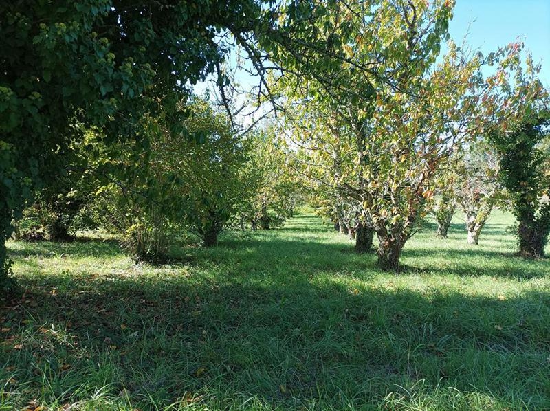 Terrain constructible - 1 628 m²