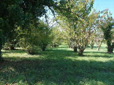 Terrain constructible - 1 628 m²