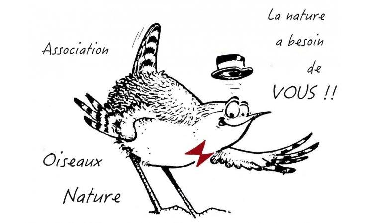 Sortie ornithologique