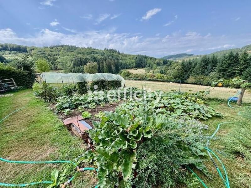 Demeure - 306 m² - 8 pièces