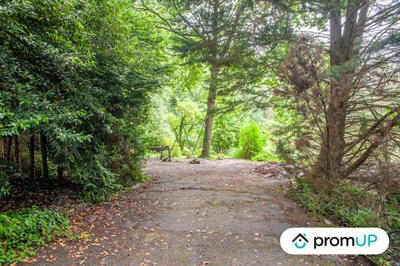 Terrain de loisirs - 6 460 m²