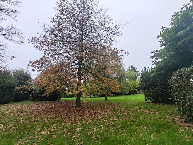 Demeure - 334 m² - 12 pièces