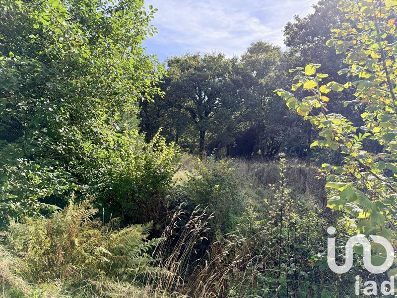 Maison - 124 m² - 4 pièces