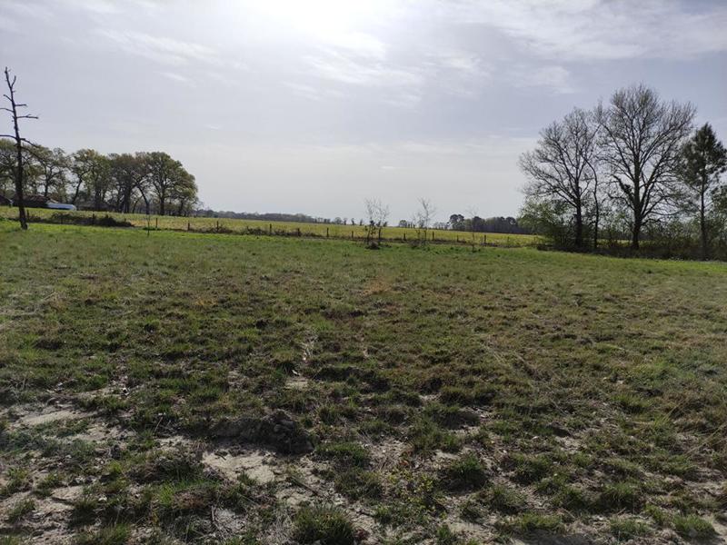 Terrain constructible - 1 217 m²