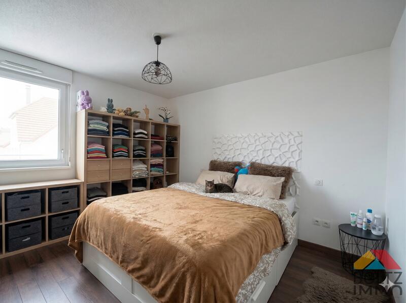 Appartement - 50 m² - 2 pièces