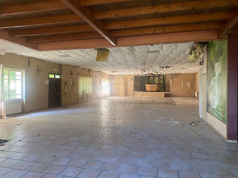 Château - 10 pièces