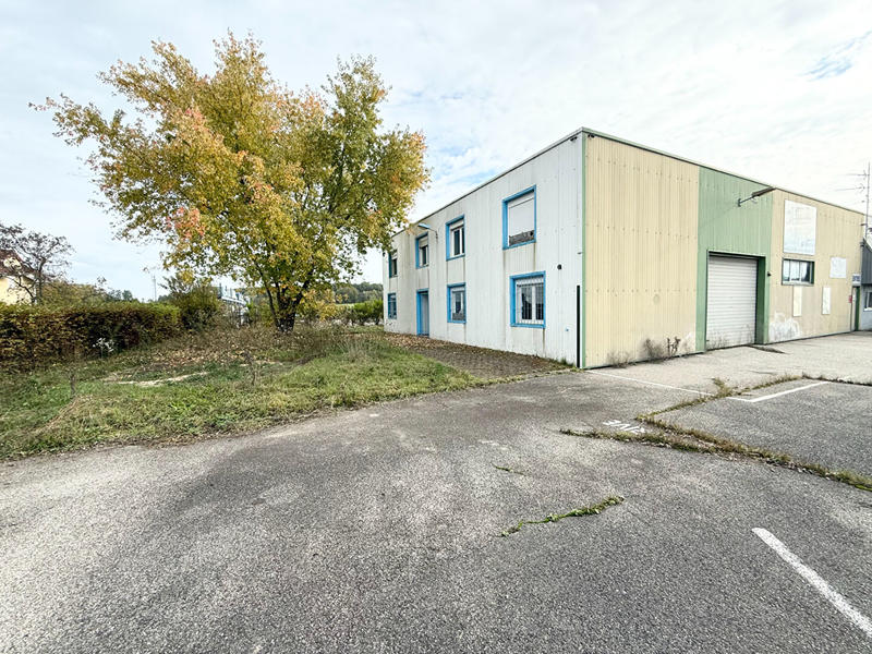 Local d'activité / Entrepôt - 349 m² - 5 pièces