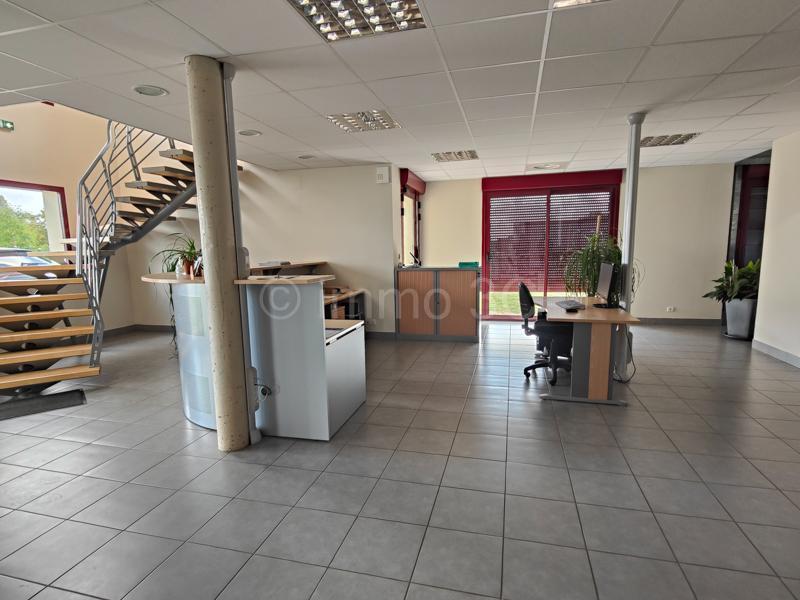 Bureau - 250 m² - 5 pièces