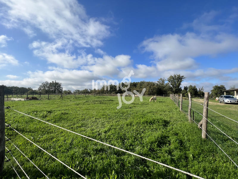 Propriété - 240 m² - 7 pièces