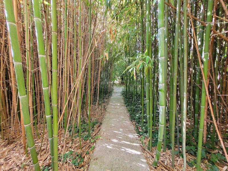 Maison - 283 m² - 8 pièces