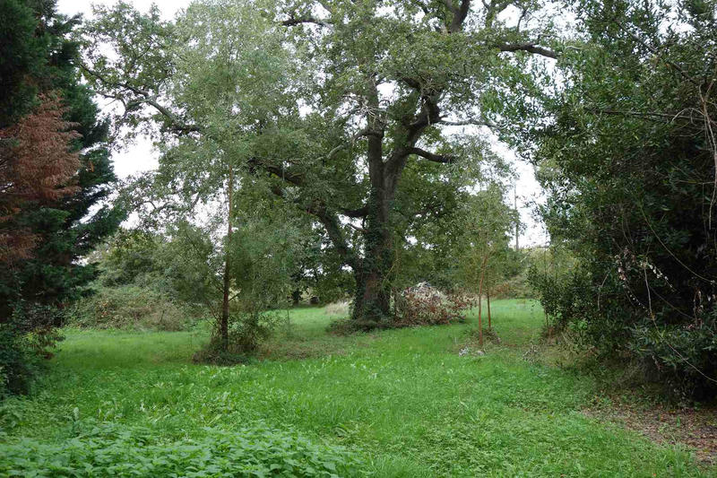 Maison - 100 m² - 6 pièces