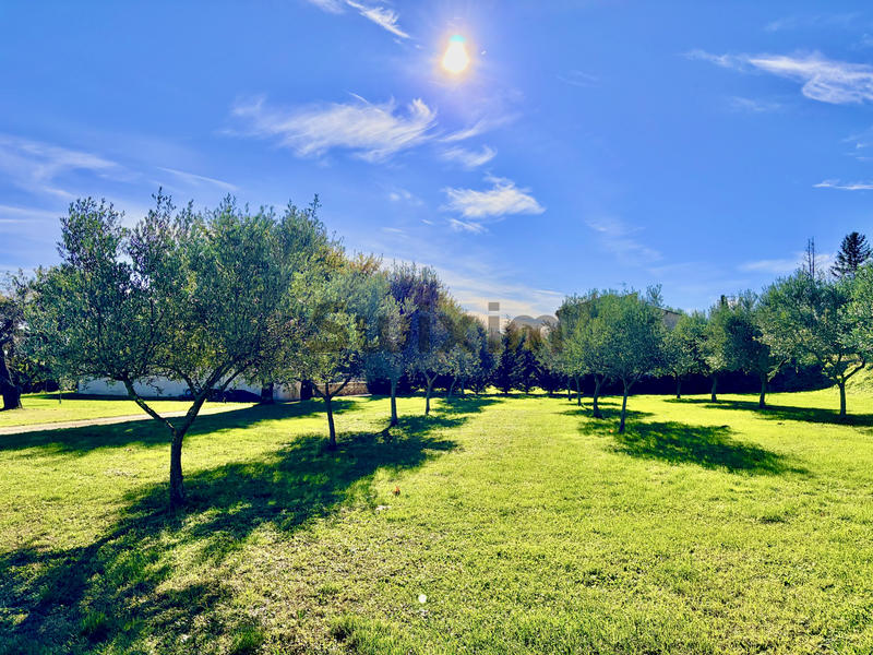 Maison - 249 m² - 8 pièces