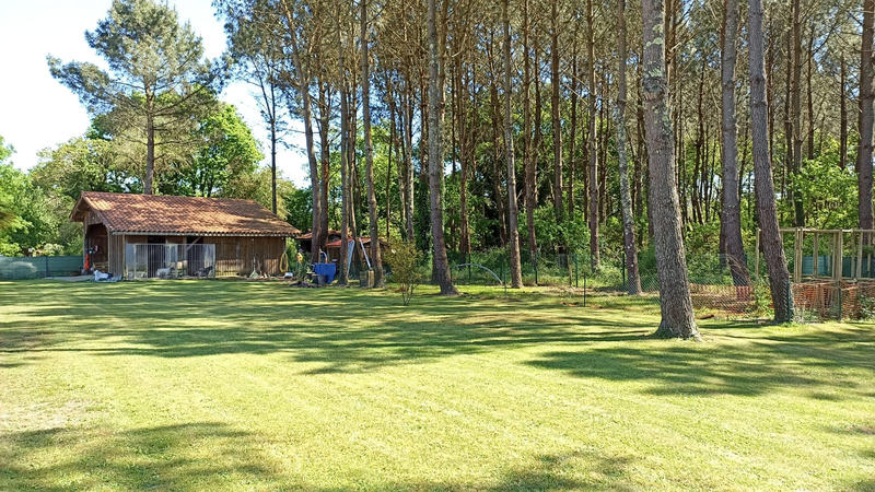 Propriété - 260 m² - 7 pièces