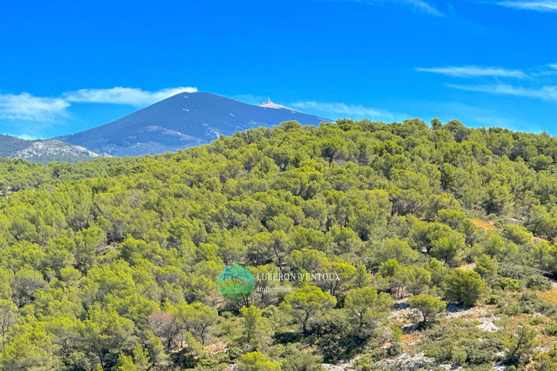 Maison de village - 127 m² - 5 pièces