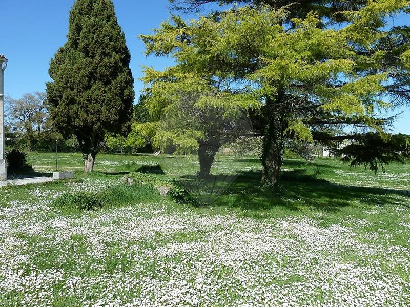 Propriété - 575 m² - 15 pièces