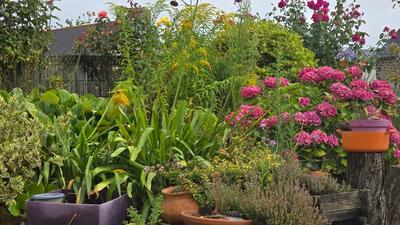 Maison - 106 m² - 7 pièces