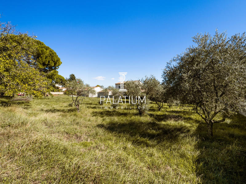 Terrain - 2 278 m²