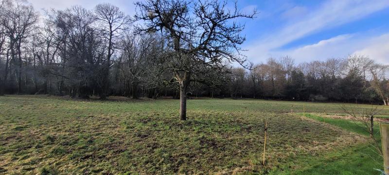 Maison - 145 m² - 7 pièces