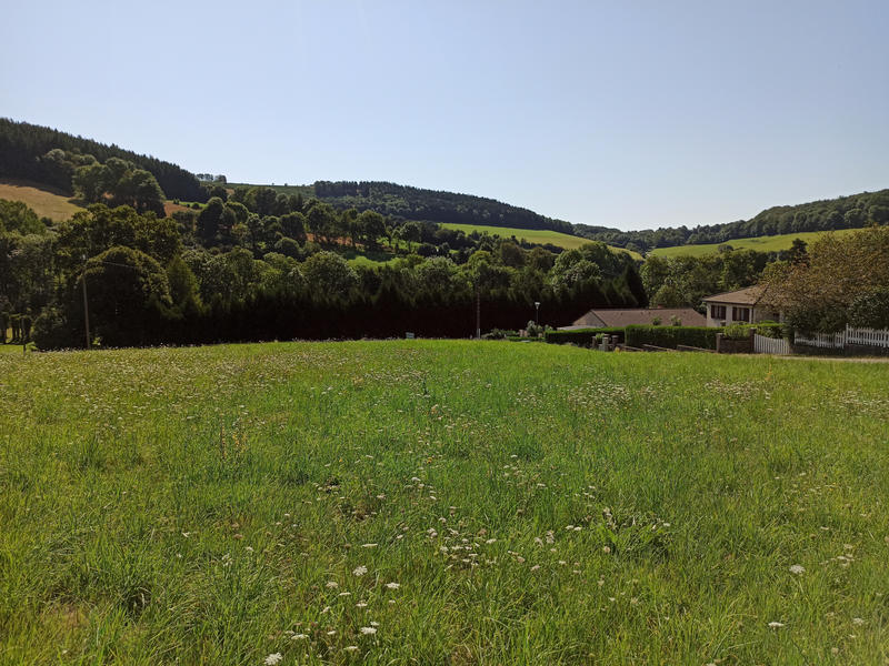 Terrain - 1 316 m²