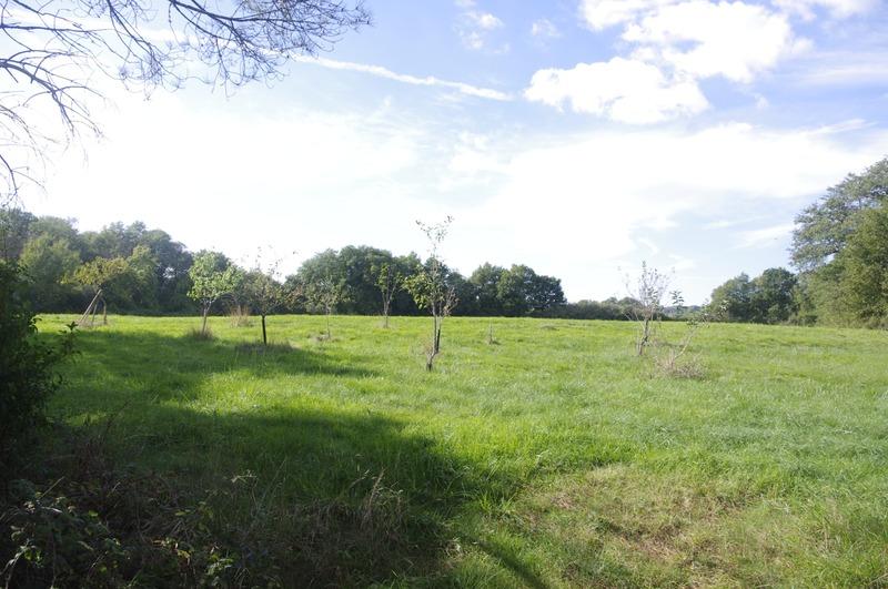 Maison - 200 m² - 8 pièces