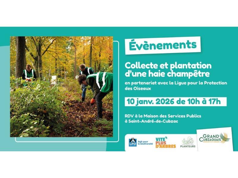 Sauvons ensemble des jeunes plants d'arbres